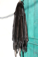 Finished skins from animals. Mink, arctic fox skins from animals. Mink farm. Fur coat, dear.