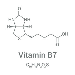 chemical structure of vitamin B7 or Biotin (C10H16N2O3S)