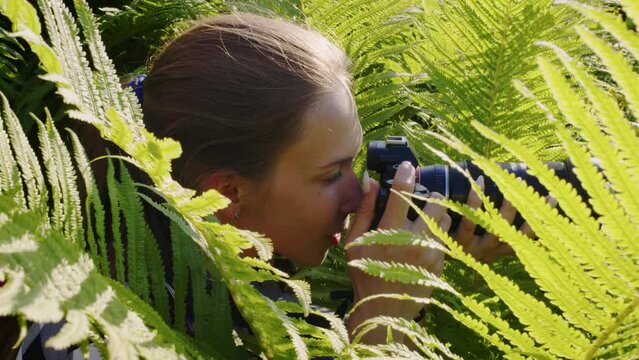 Young woman takes pictures of animals and birds on professional camera. Female photographer, hiding among fern bushes, shooting of wildlife, nature, landscape. Profile view. Paparazzi