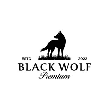 Black Wolf Premium Vintage Logo Design