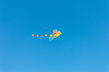 Multicolored kite in blue sly