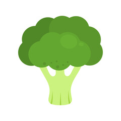 Green fresh broccoli isolated on white background. Brassica oleracea var. italica. Calabrese broccoli icon. Healthy organic food concept. Vector vegetables illustration in flat style.