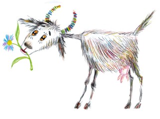 Obraz na płótnie Canvas Drawing of a goat in children's style. Children's illustration, book, postcard.