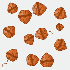 Peridinium is a genus of motile, marine and freshwater dinoflagellates.   It can range from 30 to 70 &mu;m in diameter, and has very thick thecal plates.