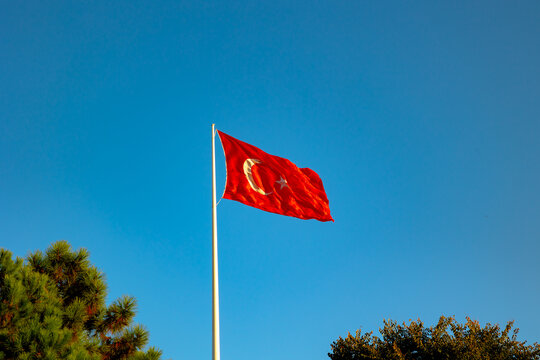 Turkish flag with trees isolated on blue sky background.