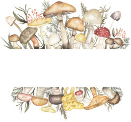 Mushrooms frame, Watercolor hand drawn fungi border illustration, Fungus wreath, Forest Leaves and florals arrangement, Autumn composition