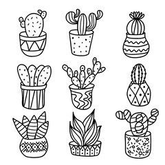 Mexican cactus set in hand drawn doodle style. Simple illustration of mexican cactus vector.