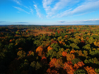 Aerial view of autumn foliage