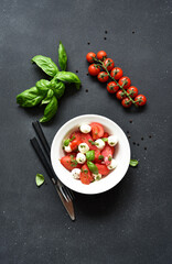 Italian appetizer caprese. Classic caprese salad with tomatoes and mozzarella