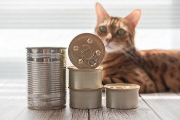 Several closed cans of cat food.