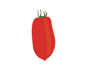 Tomato vector illustration 