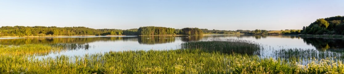 Panoramic view of a picturesque lake with more than 60 swans in it