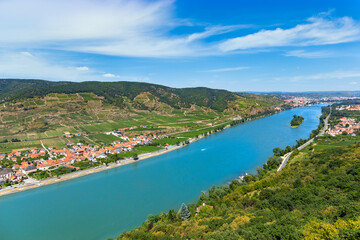 Fototapeta na wymiar Vineyards by the Danube river in Wachau valley. Lower Austria.