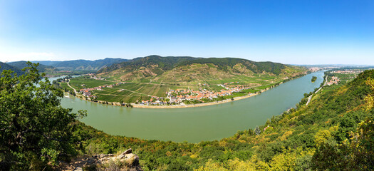 Vineyards by the Danube river in Wachau valley. Lower Austria.