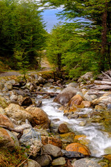 A small streams runs down next to the path that leads up to the Martial Glacier, a popular hiking destination close to the city of Ushuaia, Argentina.