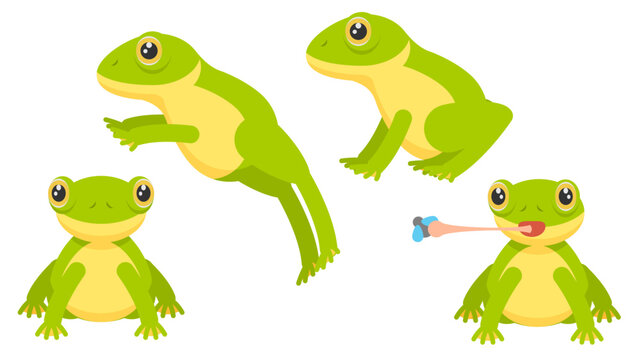 Set Abstract Collection Flat Cartoon Different Animal Frogs Stand, Jumping, Catching Insects With Tongue Vector Design Style Elements Fauna Wild