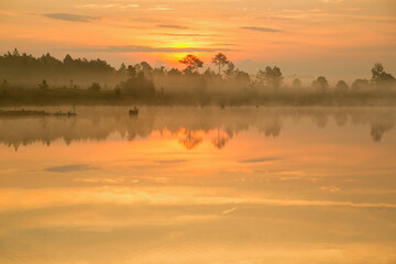 Sunlight over the lake with reflection of tree in the water