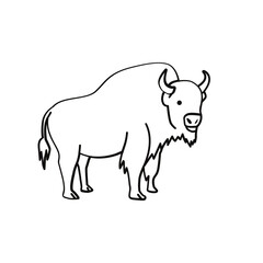 Bufallo Design Very Cool