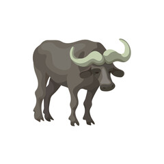 Bufallo Design Very Cool