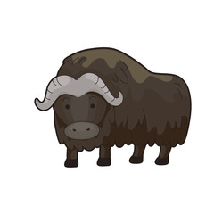 Bufallo Design Very Cool