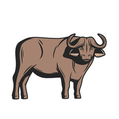 Bufallo Design Very Cool