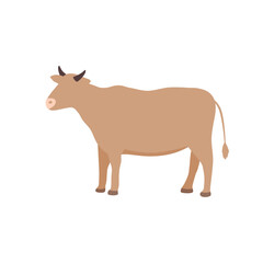 Bufallo Design Very Cool