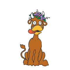 Bufallo Design Very Cool