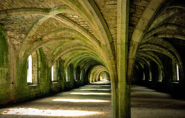 Fine stone vaulted cellars beneath the Lay Brothers dormitory, Fountains Abbey, N. Yorkshire,...