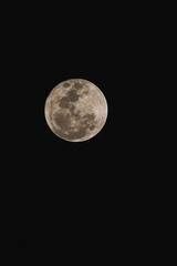 Fullmoon contrast tone