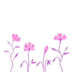 Obraz na płótnie Canvas Illustration of decorative flowers hand drawn with colored pencils isolated on white background