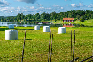 Typical red wooden houses in countryside by the sea in nature of southern Sweden on a beautiful sunny summer day. White heystacks in front. Relaxing rural landscape. © Petr
