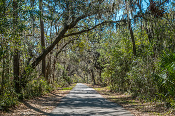 Trail through a coastal forest