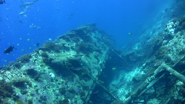 Bounty Wreck, Gili Islands, Lombok