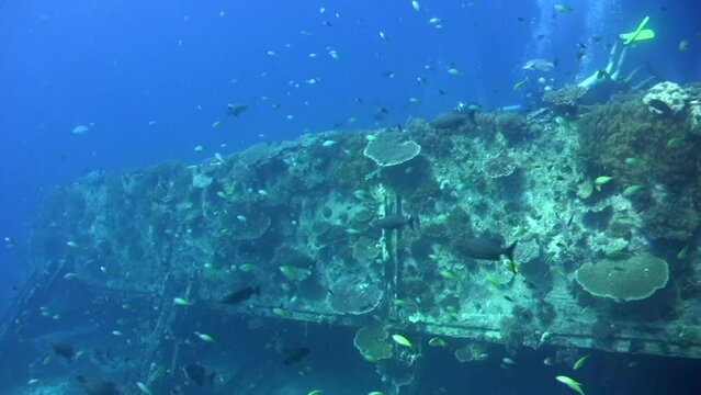 Bounty Wreck, Gili Islands, Lombok