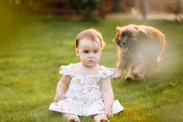 Toddler baby girl and domestic dog in the backyard. crawling child and dog games on the lawn. Dog and kid friendship. girl and dog playing