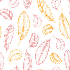 Fototapeta premium Feather seamless pattern. Hand drawn vector illustration. Sketch collection. Engraved style set.