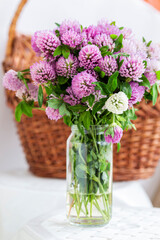 Clover flowers in a glass vase. Herbs harvesting of medicinal raw materials