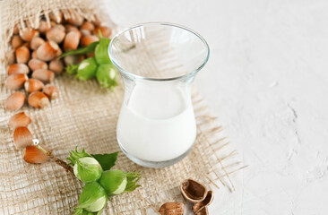 Hazelnut non dairy milk in a glass and hazelnuts on a burlap, copy space. 
