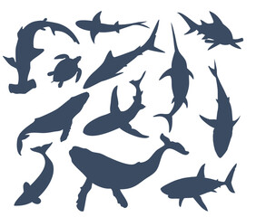 Obraz premium Set of different fish. A large set of underwater inhabitants