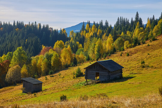 Colorful autumn landscape scene with fence in Transylvania mountain