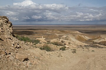A view of the ecological disaster, the Dry Aral Sea, from the Ustyurt Plateau. Karakalpakstan....