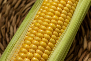 Uncooked corn cob. Close-up, top view.