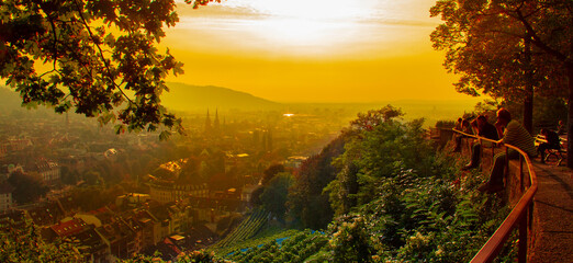 Weinberge Reben Freiburg