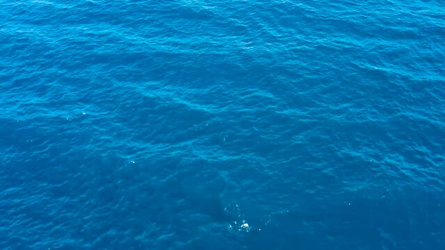Blue sea water texture aerial drone view. Glare of the sun on blue sea water.