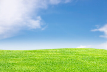 Obraz na płótnie Canvas Background image of lush grass field under blue sky and cloud on clear day.