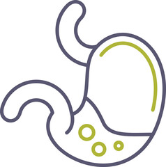 Stomach Icon