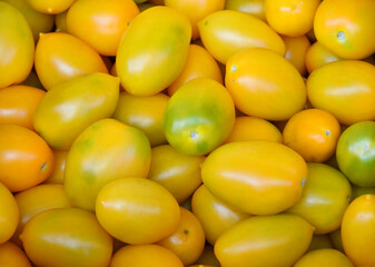 Ripe yellow tomatoes of the new harvest are sold at the bazaar 