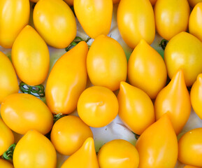Ripe yellow tomatoes of the new harvest are sold at the bazaar 
