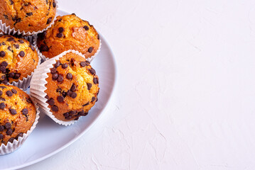 Delicious chocolate chip muffins lying on a gray plate. Photo with copy space