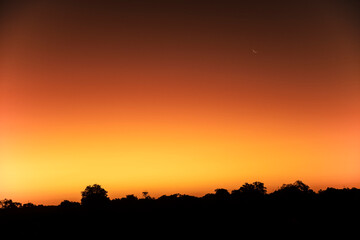 Fototapeta na wymiar Sliver of moon at sunset from Mashatu; Botswana; Africa